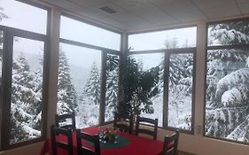 Genco Mountain View